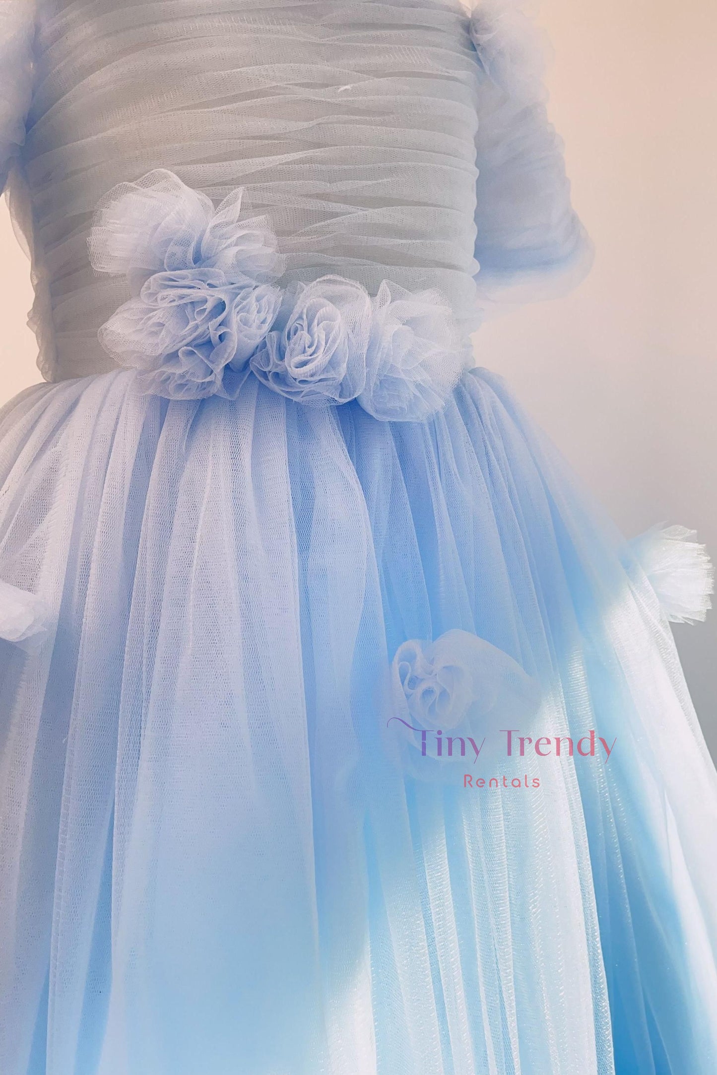 Celeste's Baby Blue Ballet Dress