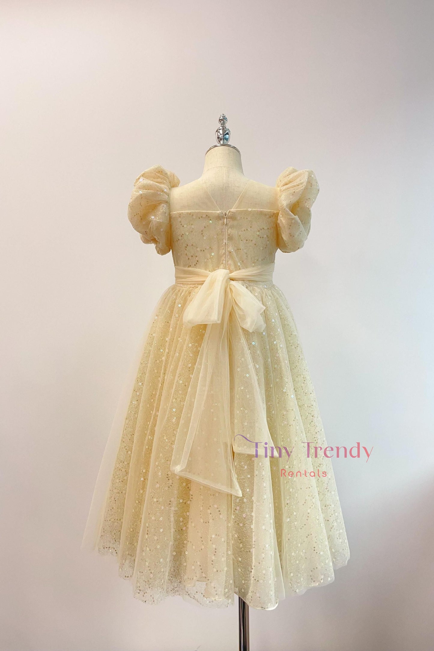 Aurelia's Golden Sequin Party Dress