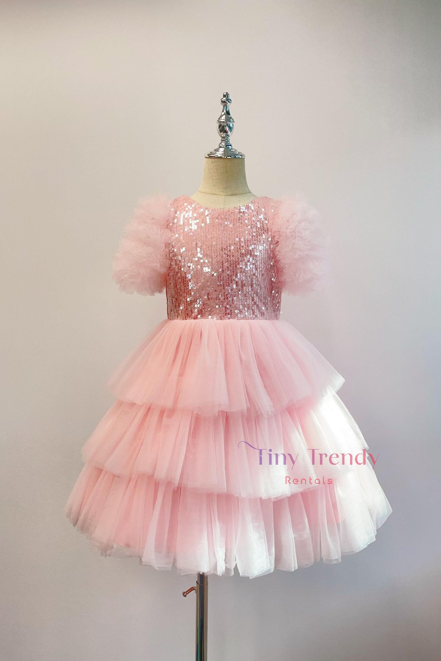 PInk sequin tulle dress 