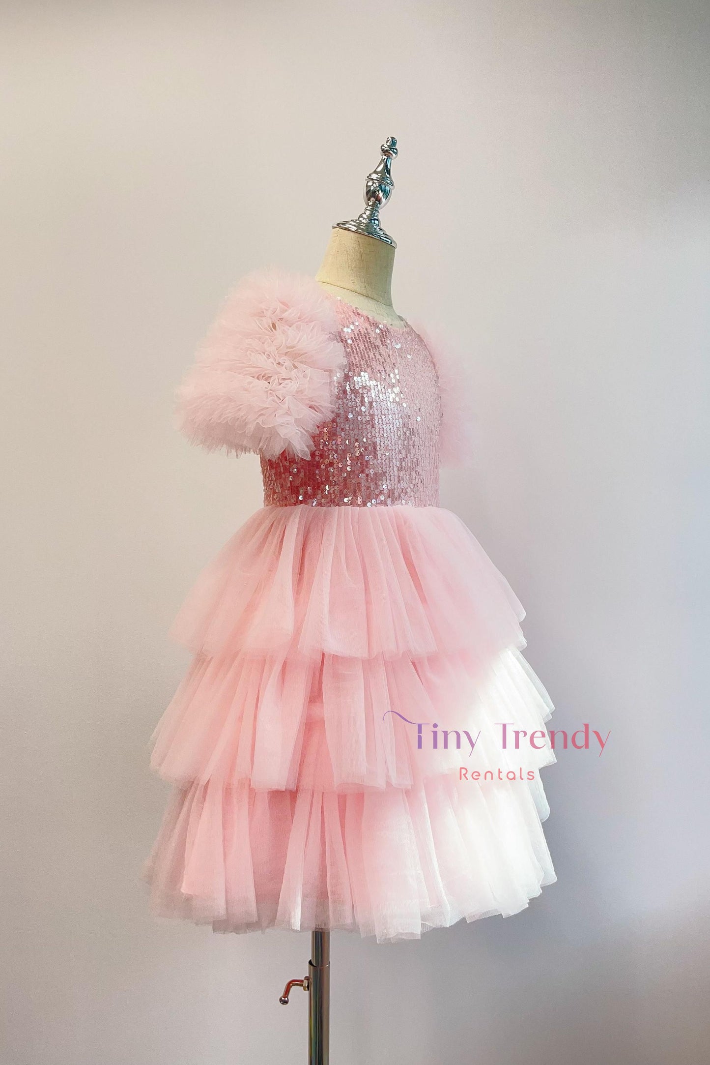 Vera's Pink Tutu Dress