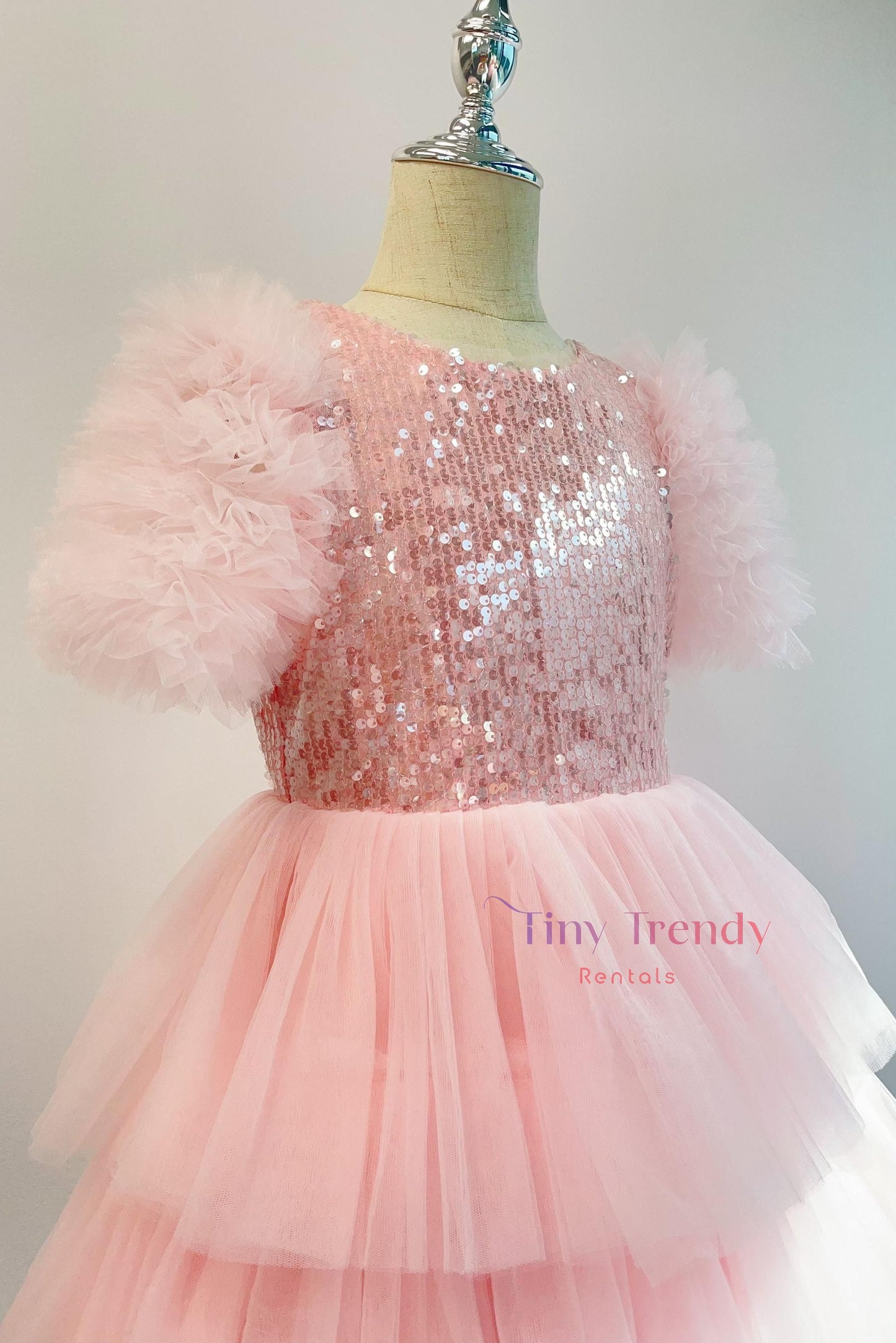 Vera's Pink Tutu Dress