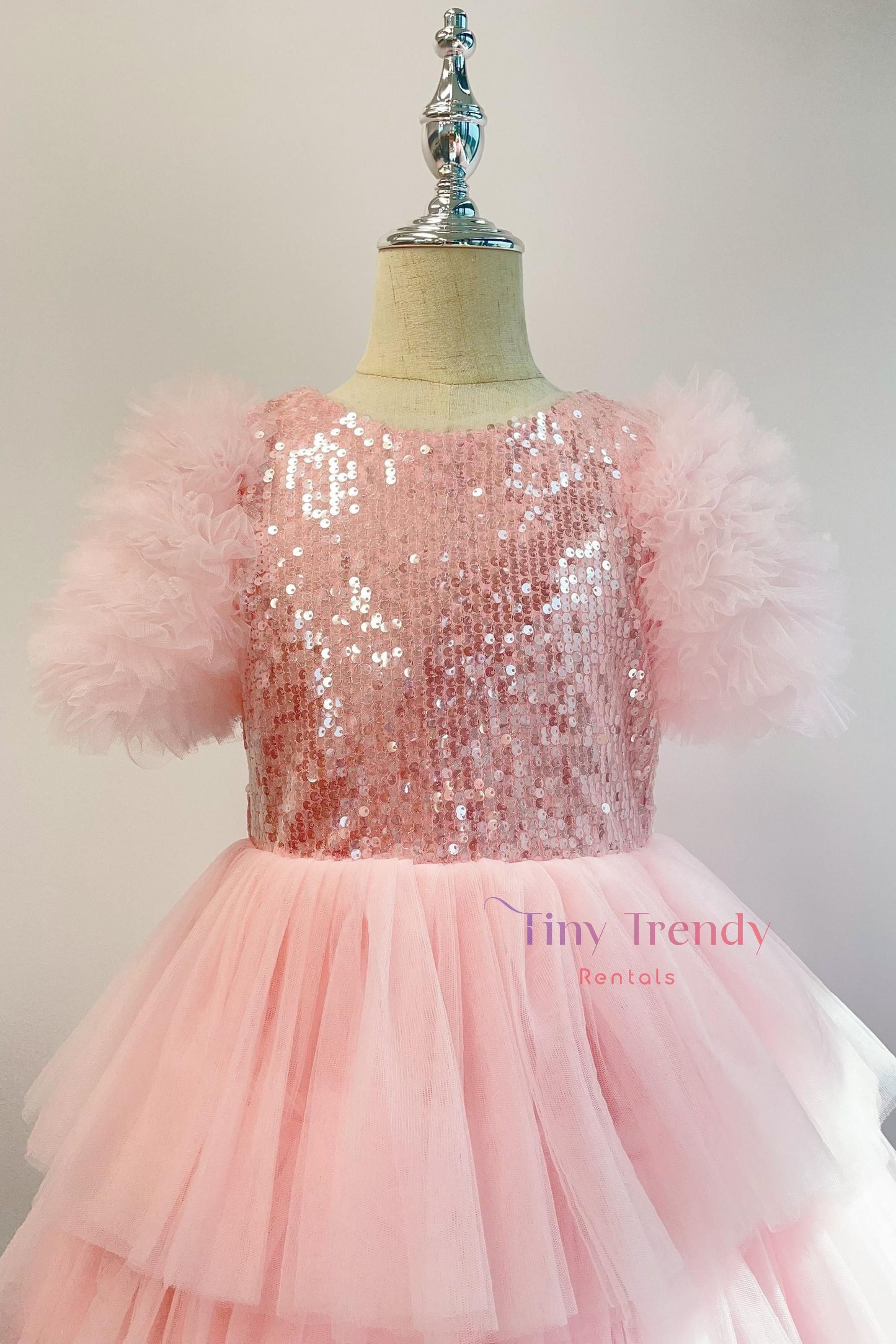 Vera's Pink Tutu Dress