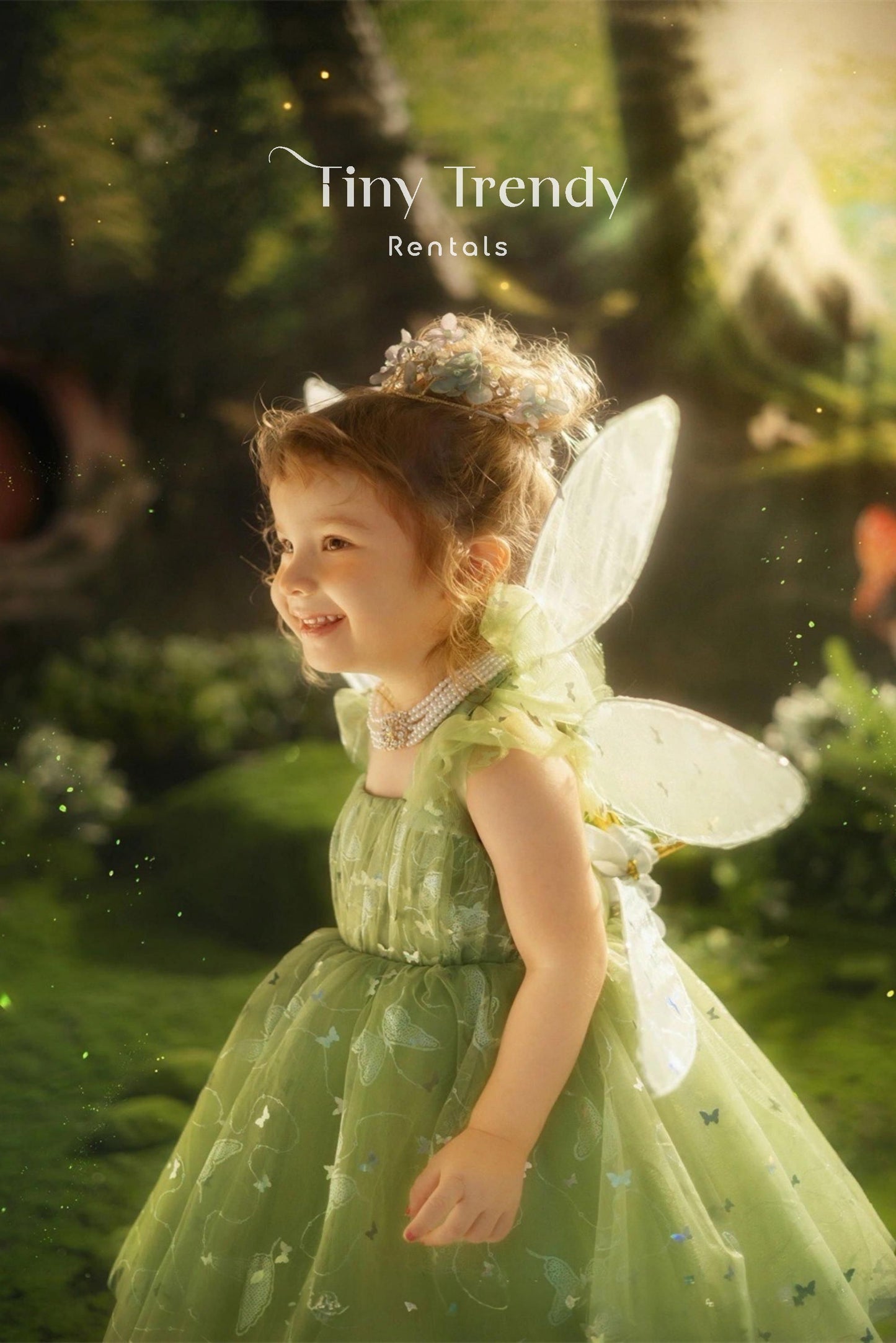 Tinkerbell Fairy Wings Dress