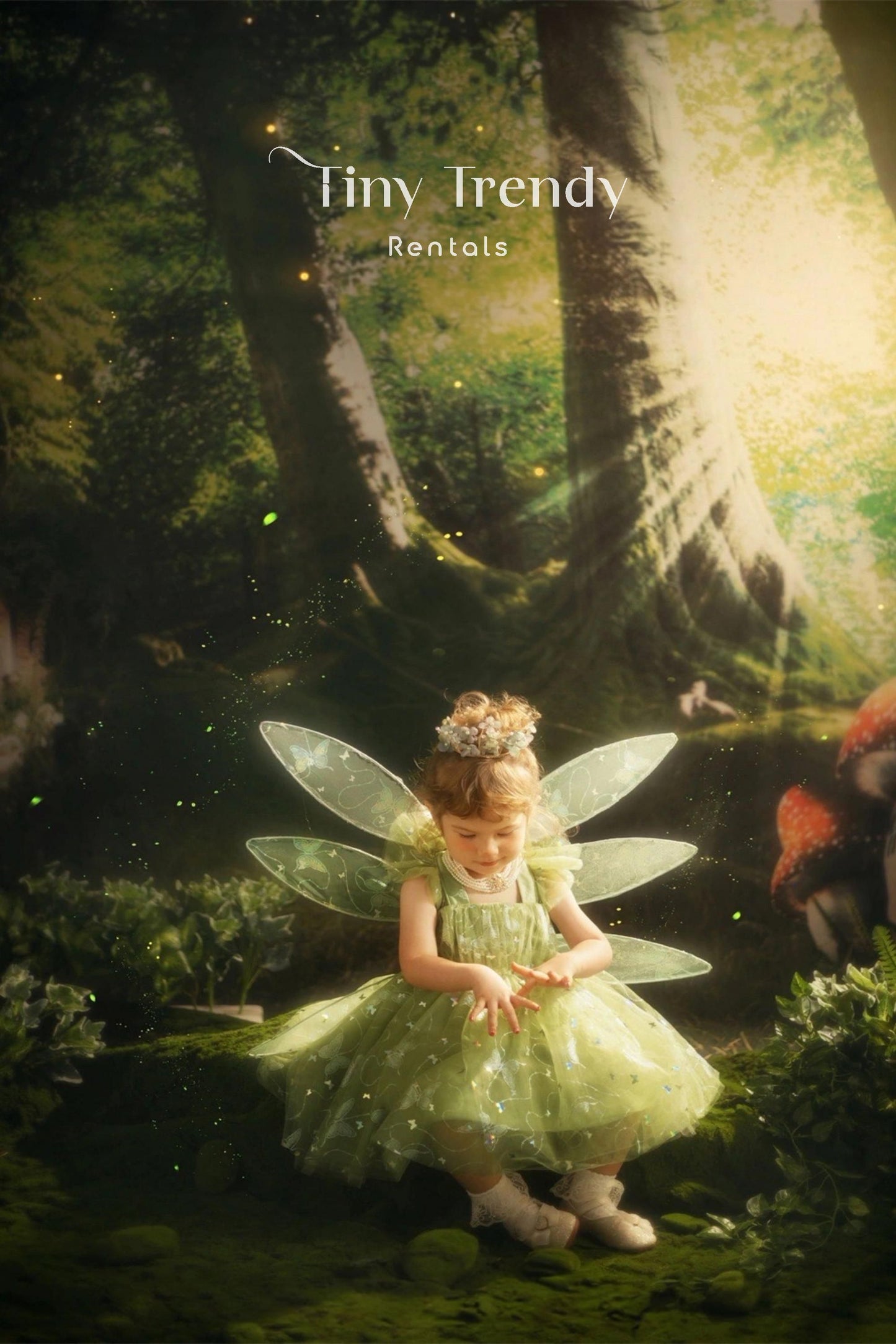 Tinkerbell Fairy Wings Dress