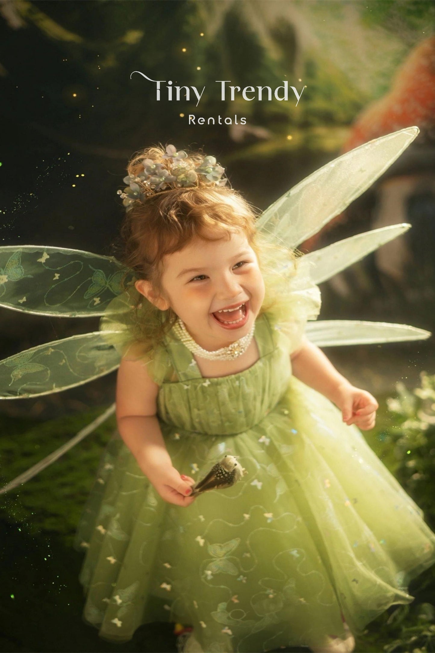 Tinkerbell Fairy Wings Dress